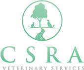 CSRA