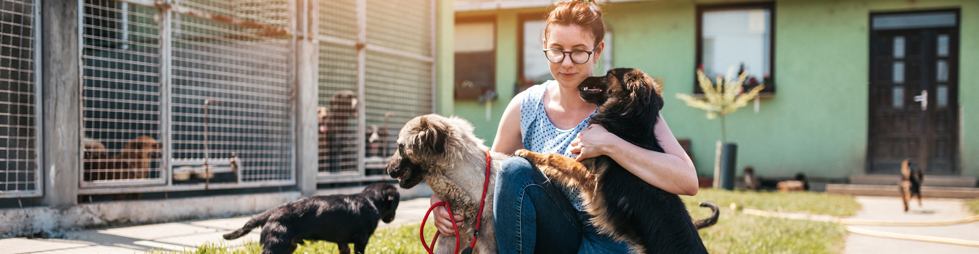 Animal Rescue - Central Savannah River Area Veterinary Services