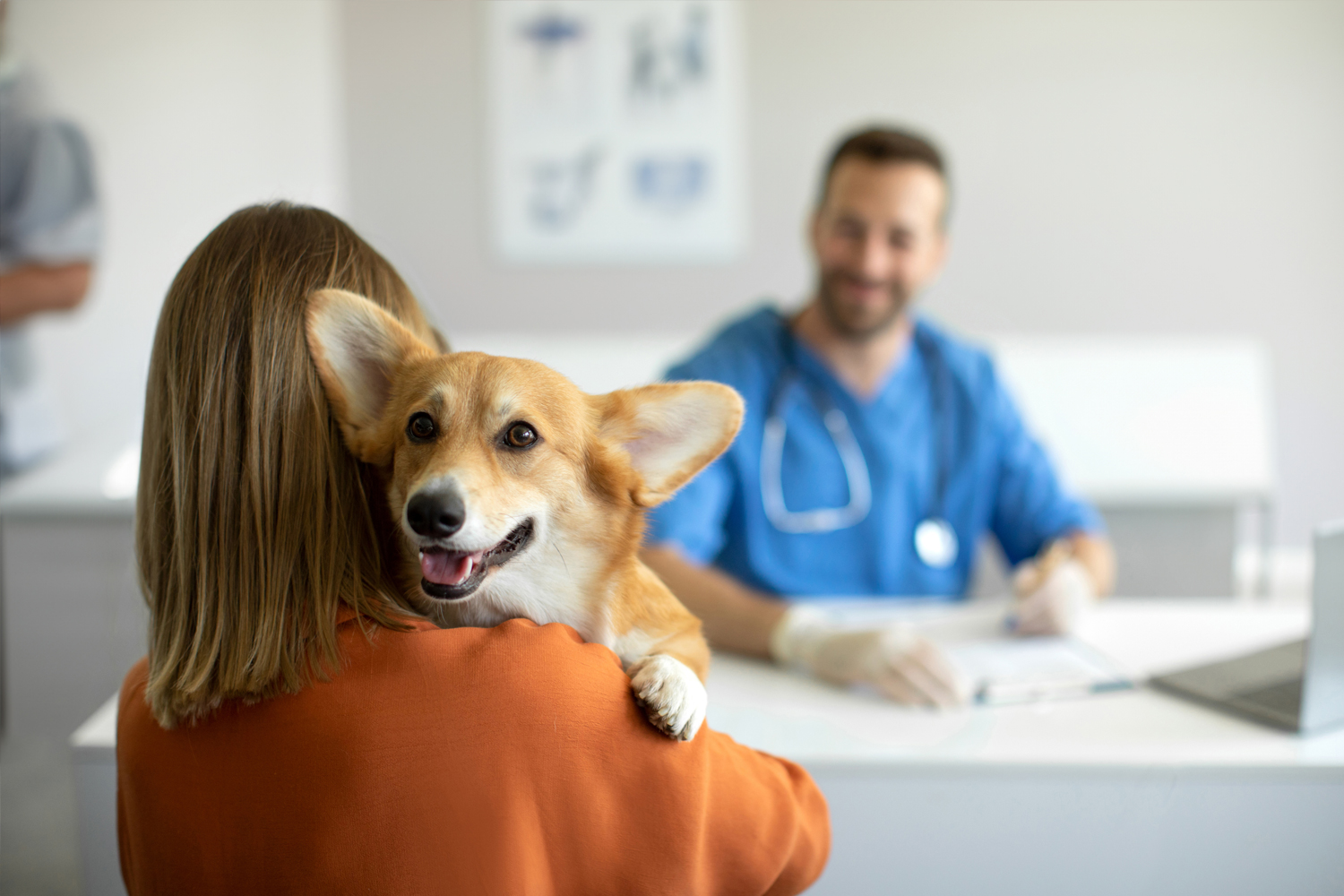 wellness-&-preventive-care-1